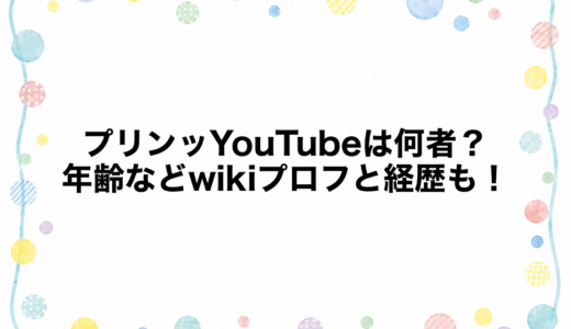 プリンッYouTubeは何者？年齢などwikiプロフと経歴も！