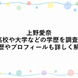 上野愛奈の高校や大学などの学歴を調査！経歴やプロフィールも詳しく解説